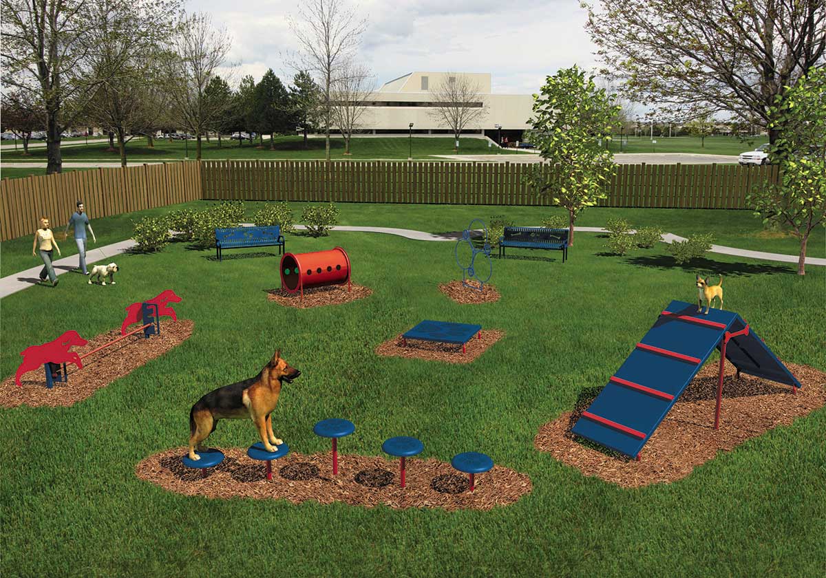 Dog Agility Course