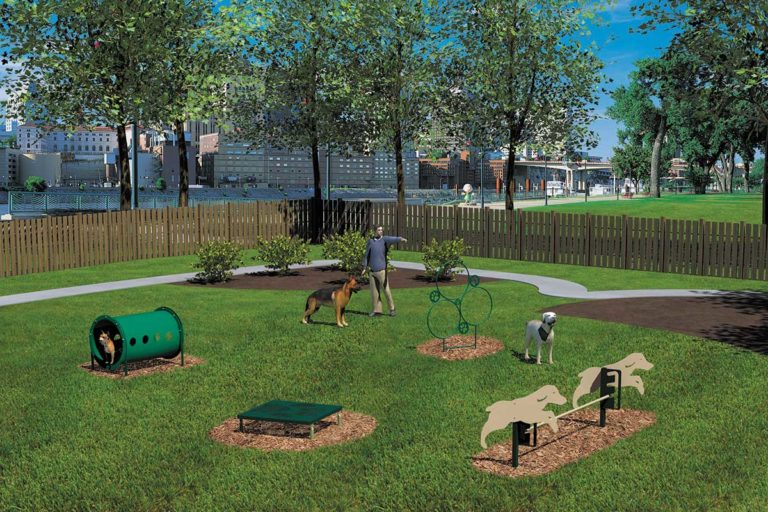 Novice Dog Park Agility Course Kit BarkPark