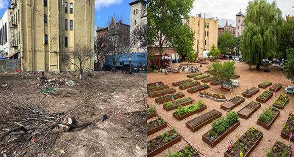United We Stand Community Garden BEFORE and AFTER - Bronx NY